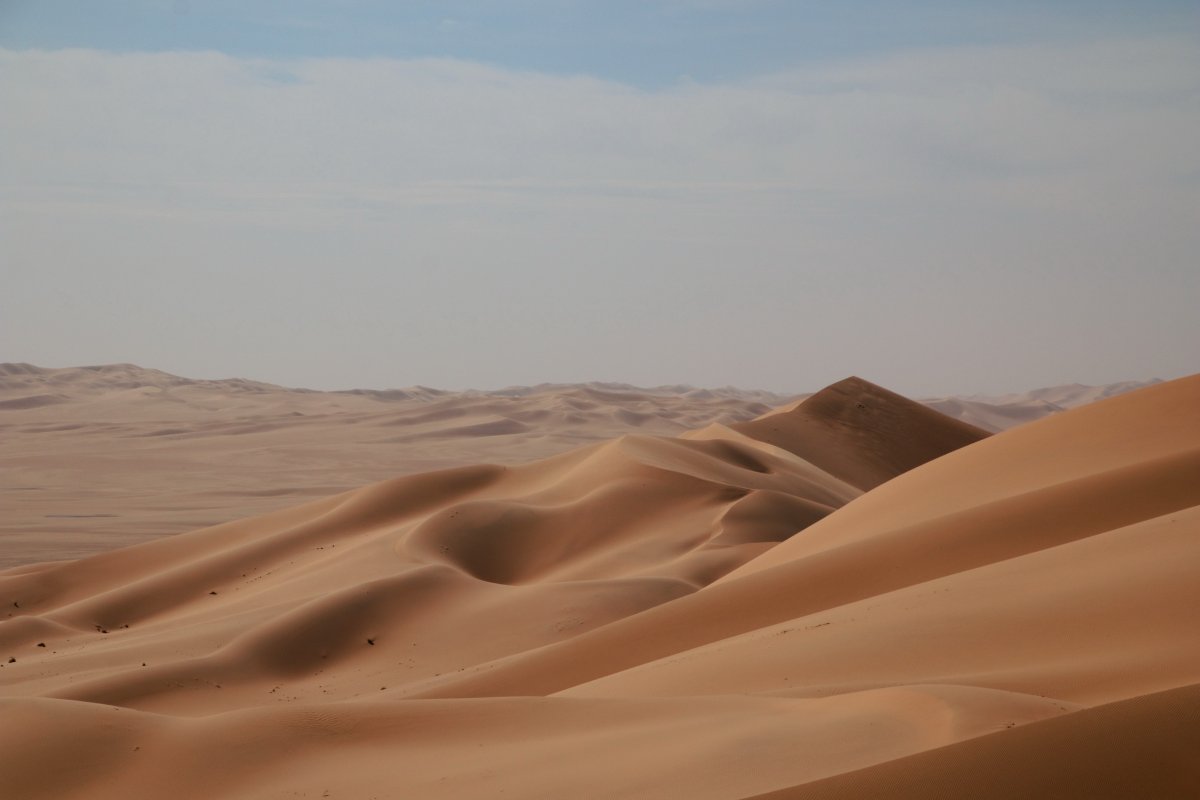 Algerian Sahara desert scenery