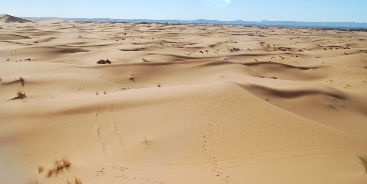 Gobi desert pictures