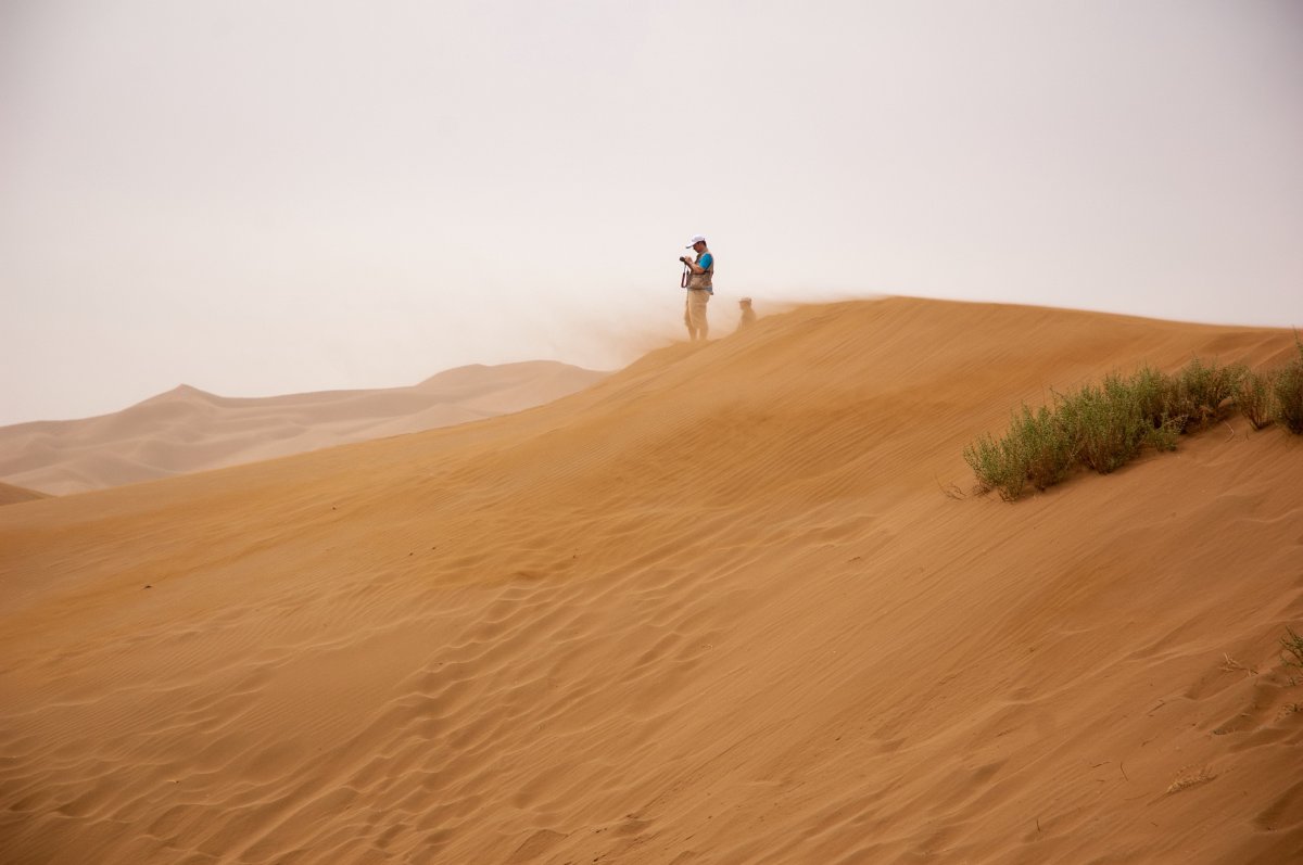 Xinjiang desert scenery pictures