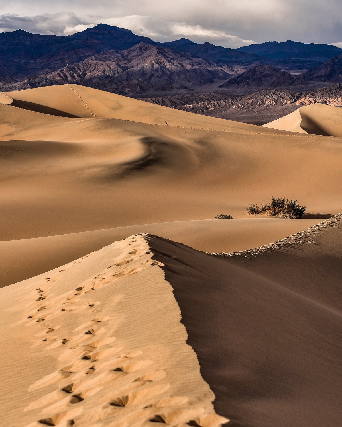 desolate desert landscape pictures