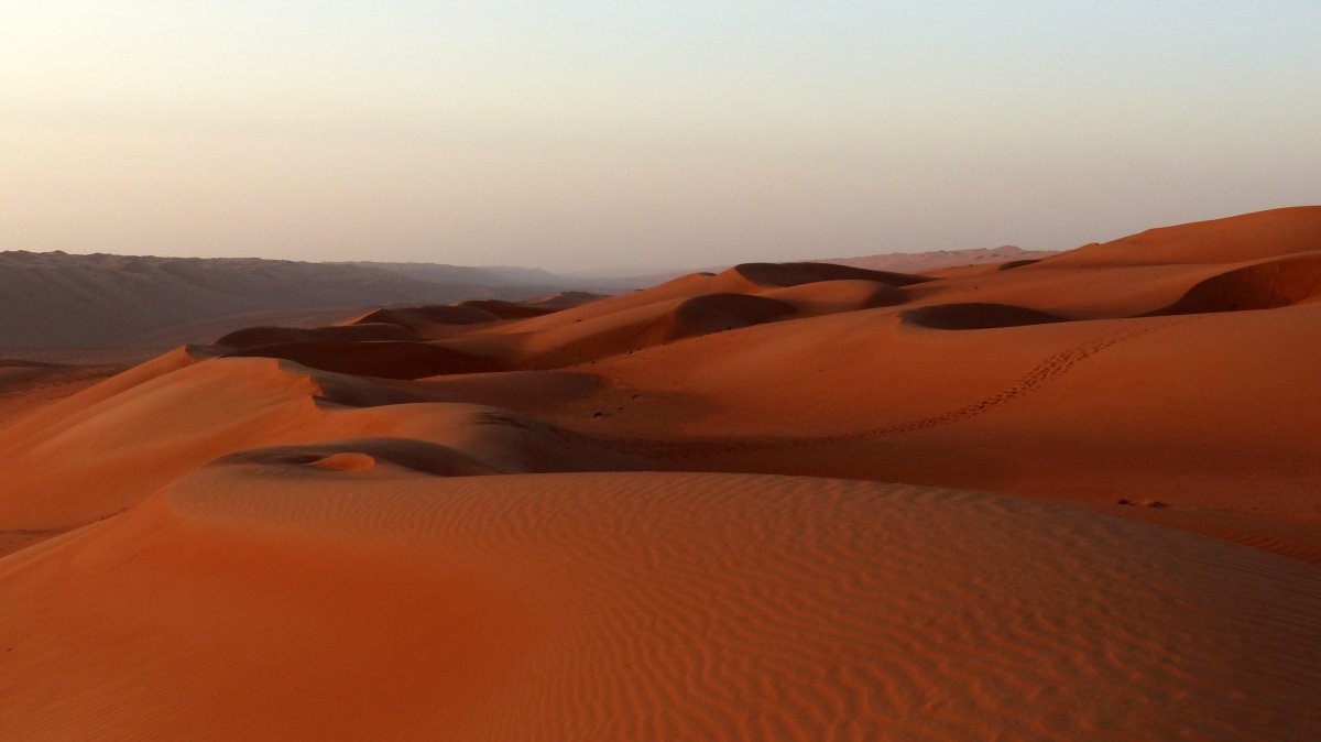 Barren desert dune landscape picture