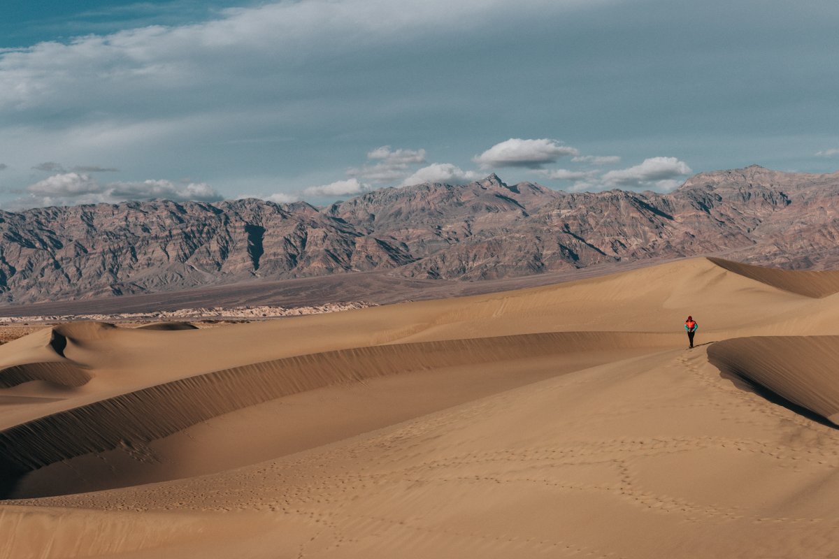 Walking Desert Landscape Pictures