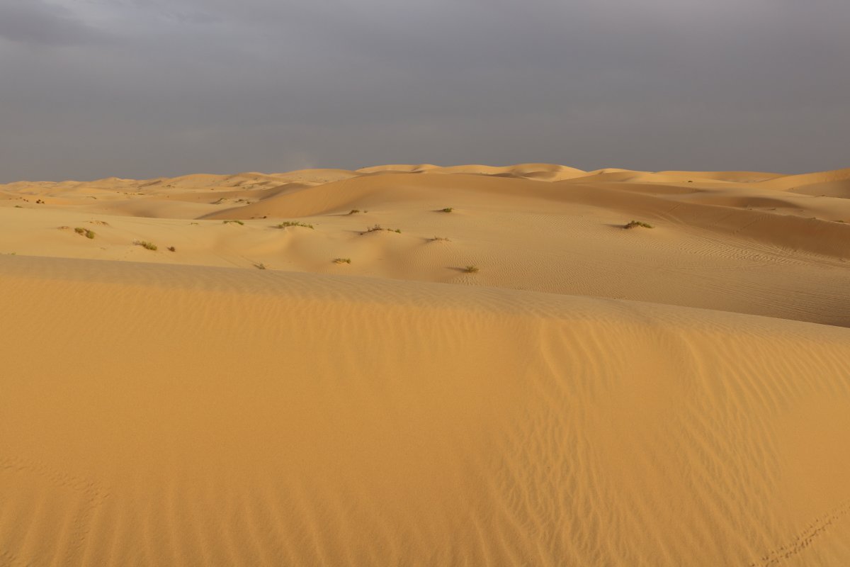 Barren desert landscape pictures