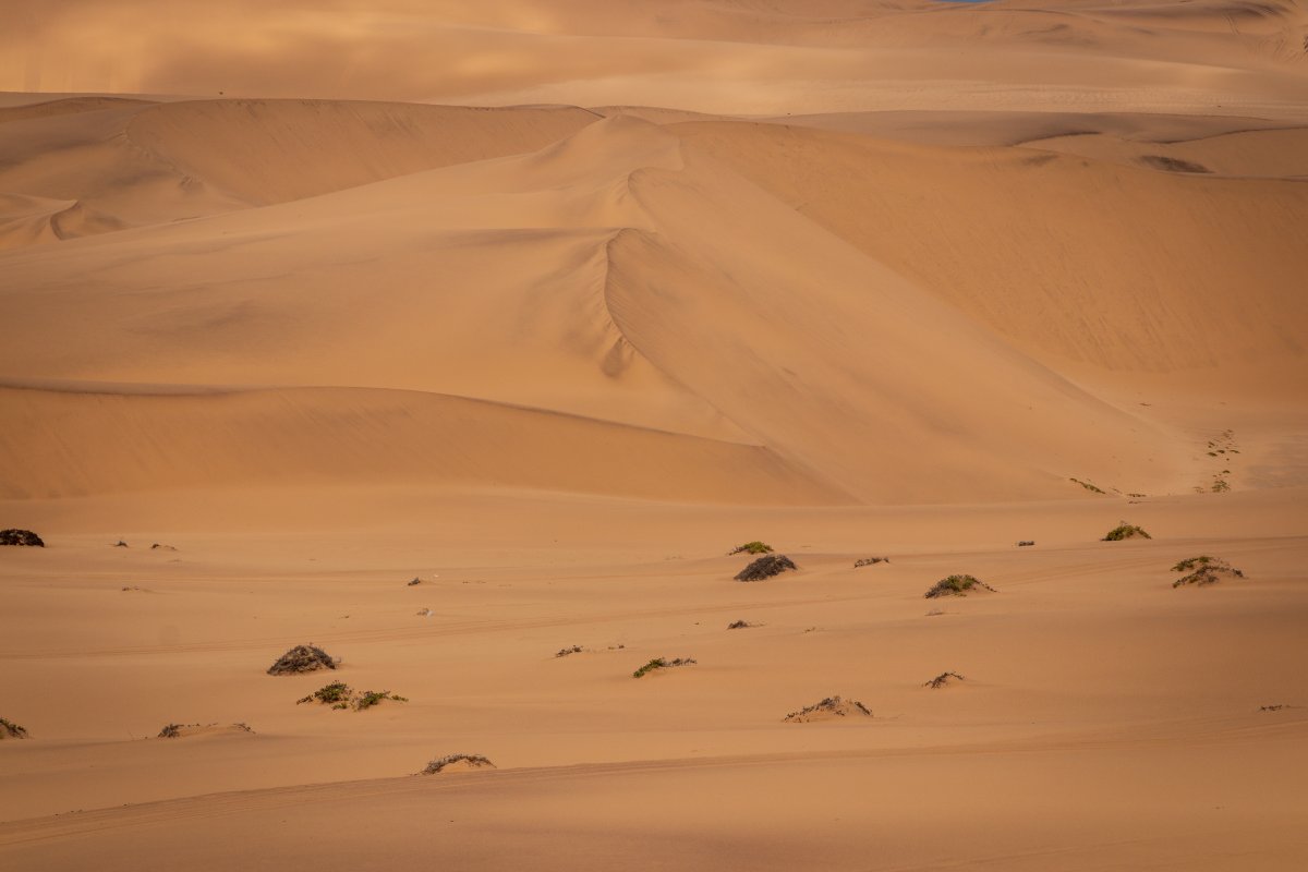 Desert Gobi landscape pictures