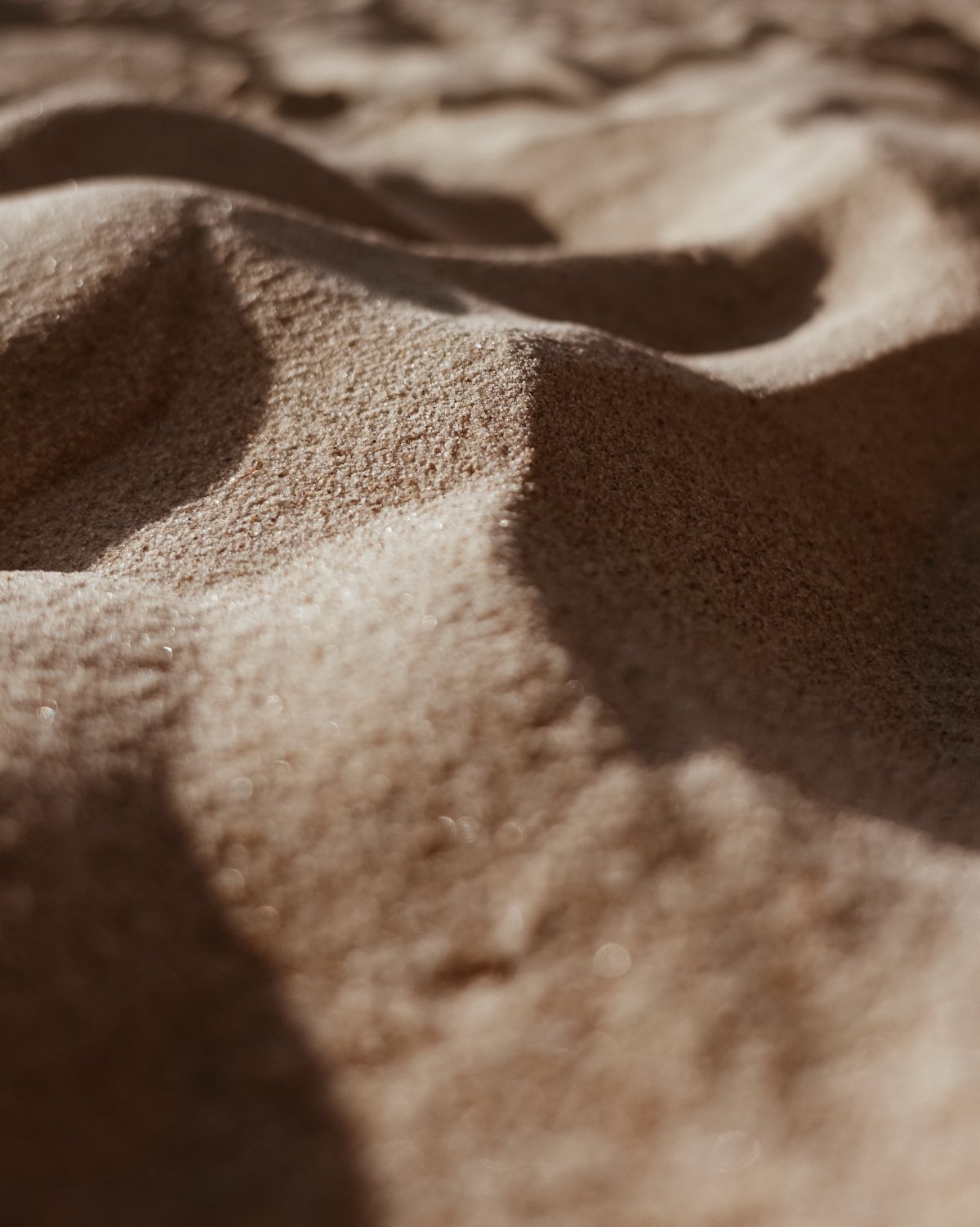 Desert gravel close-up picture