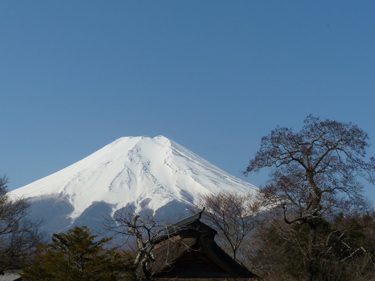 Mount Fuji pictures