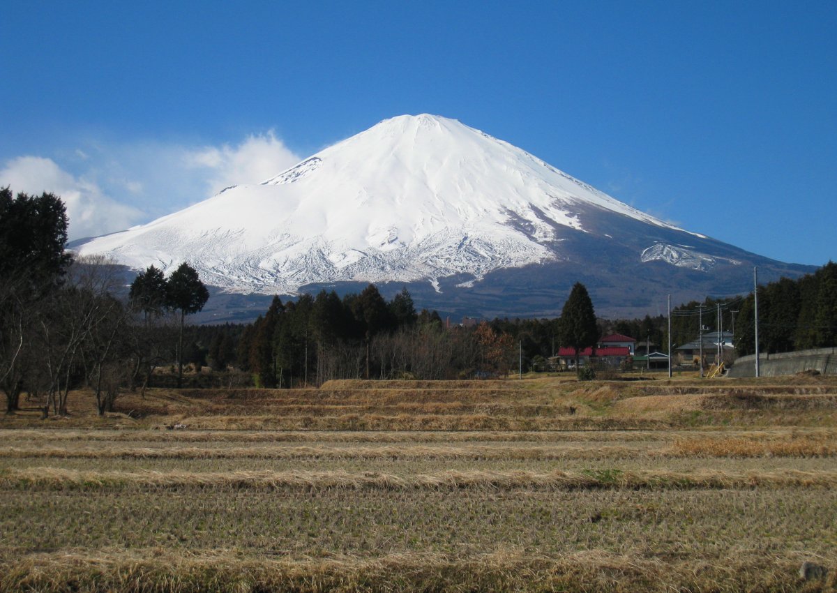Mount Fuji pictures in Tokyo, Japan