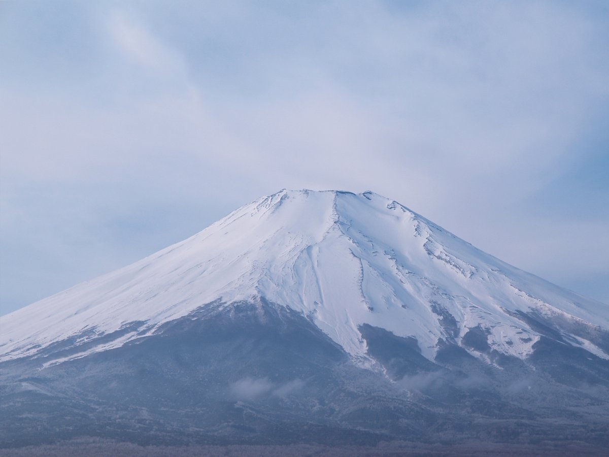Fuji Snow Mountain Pictures