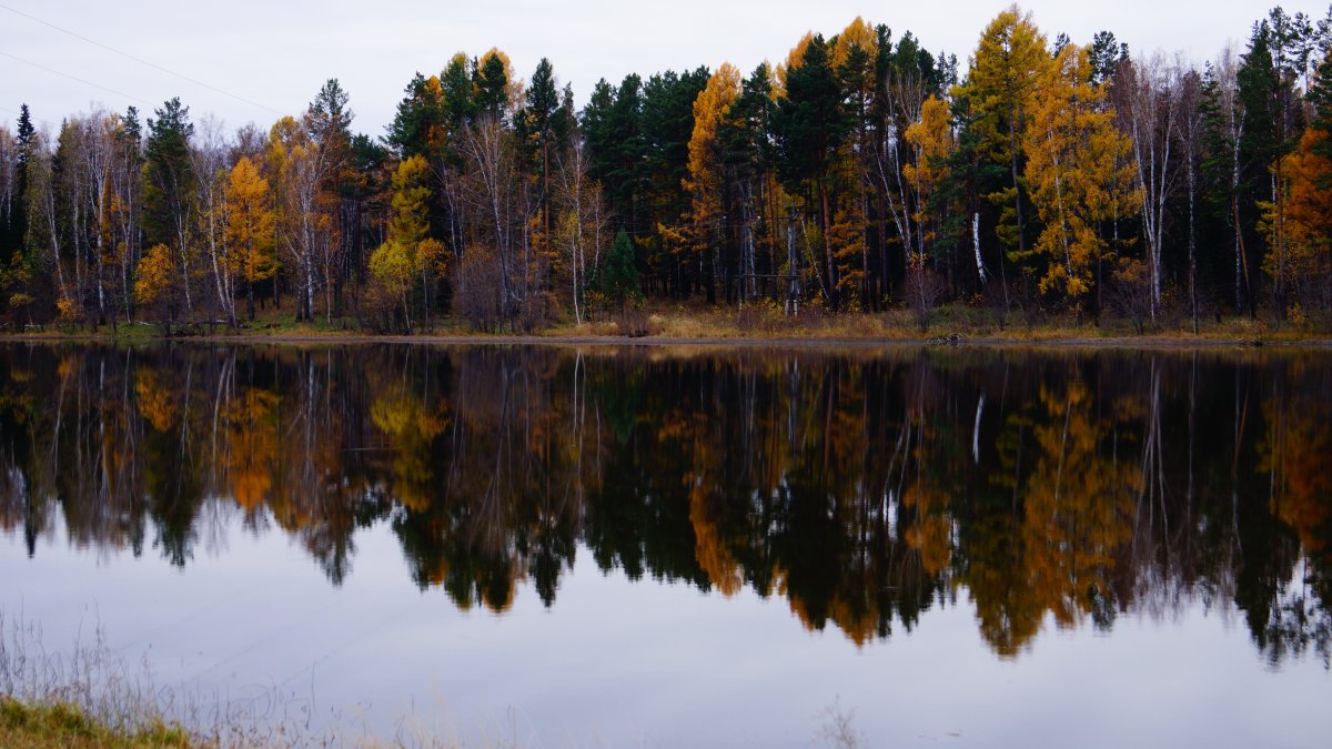 Autumn lake trees landscape pictures