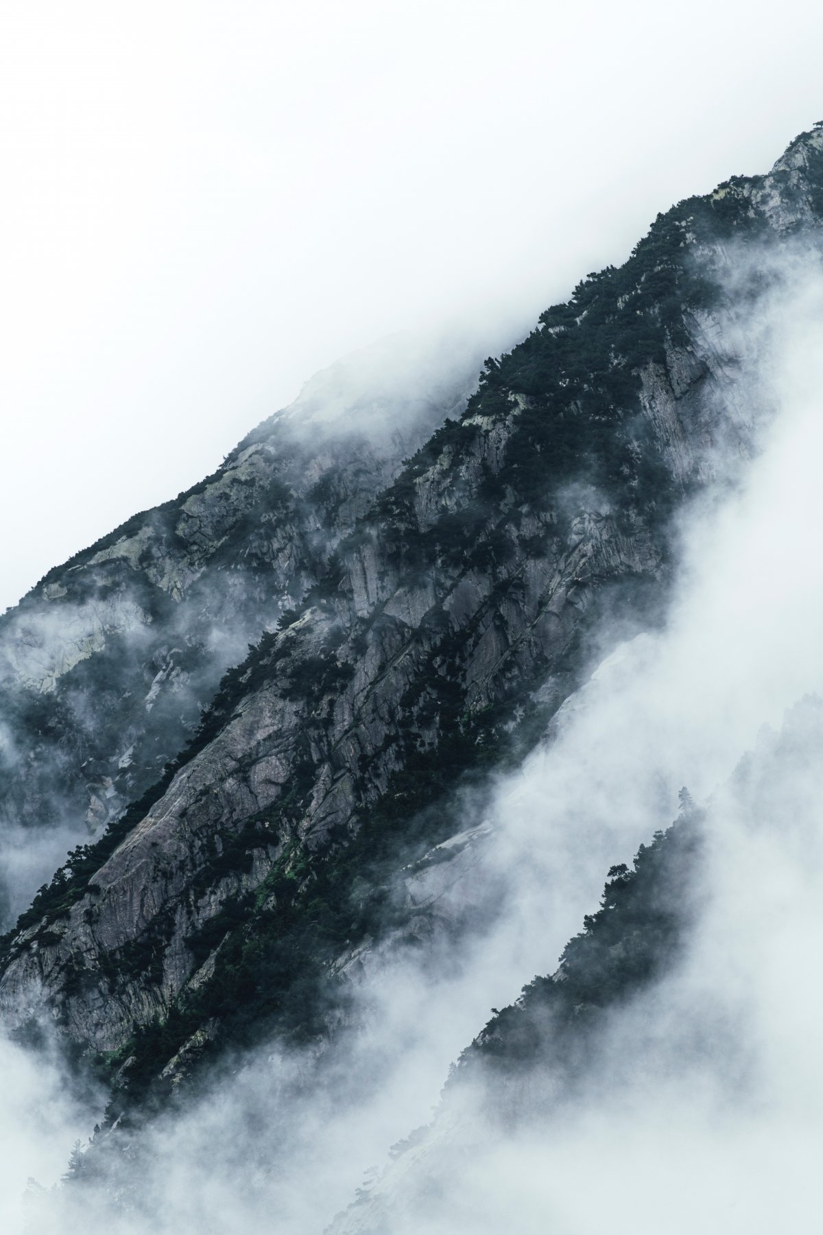 Dense fog filled mountain pictures