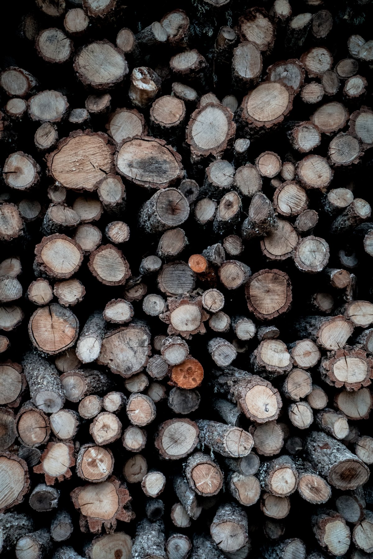 Pictures of piled wood