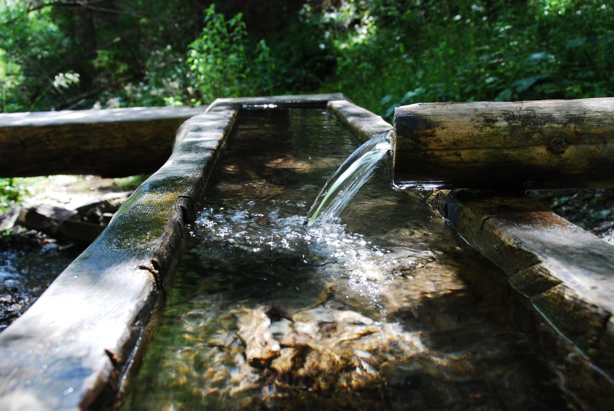 Mountain spring water pictures