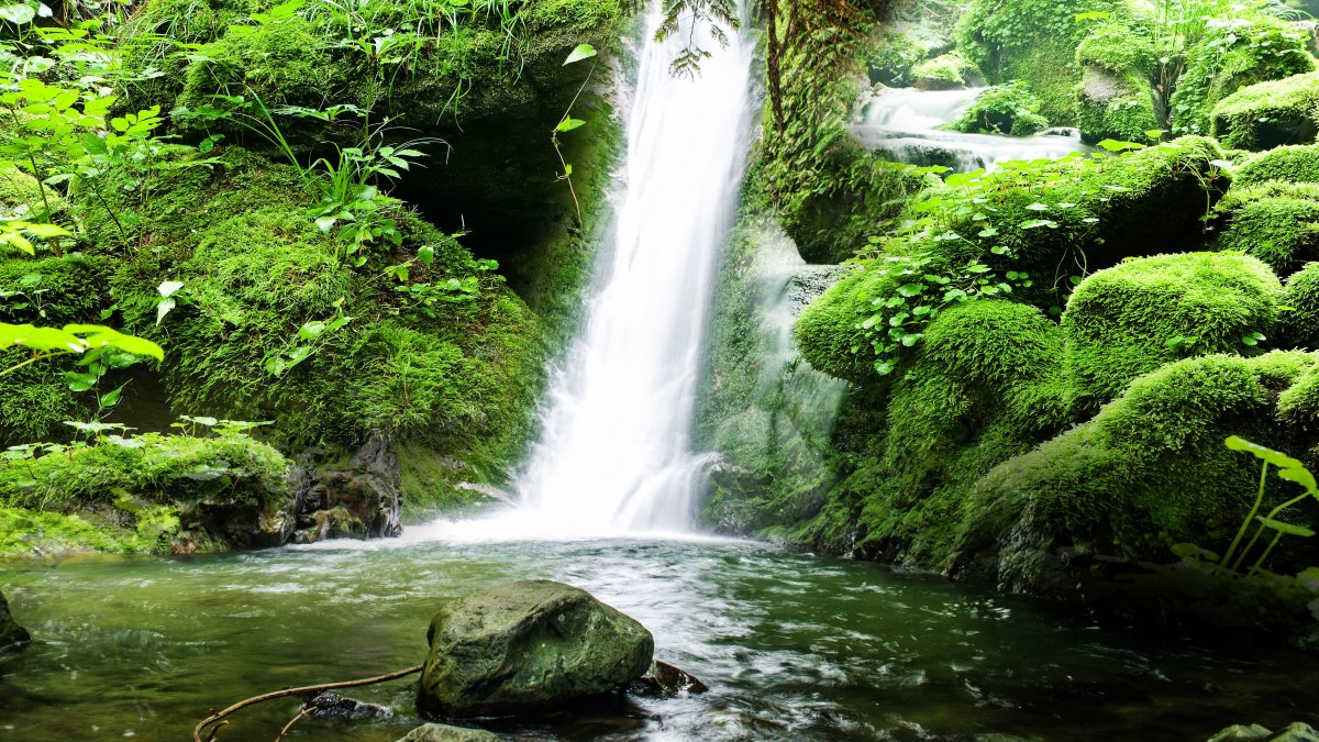 green waterfall landscape picture