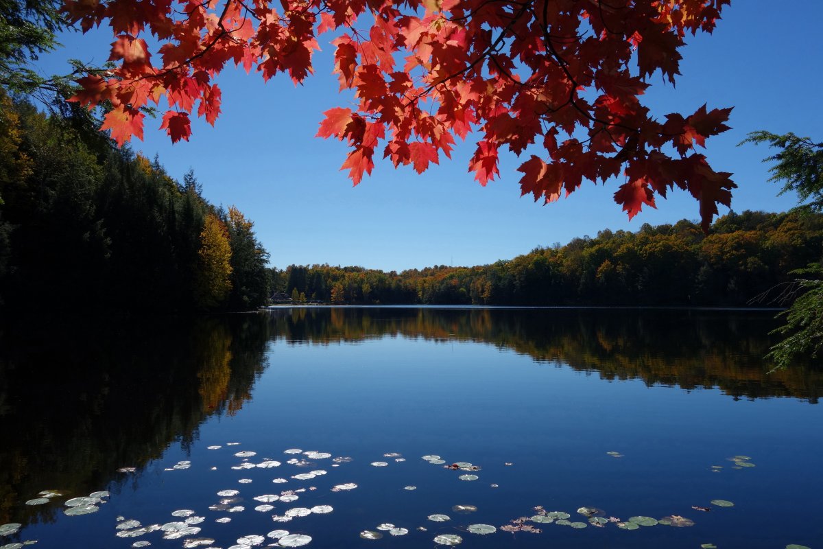 Autumn lake landscape pictures