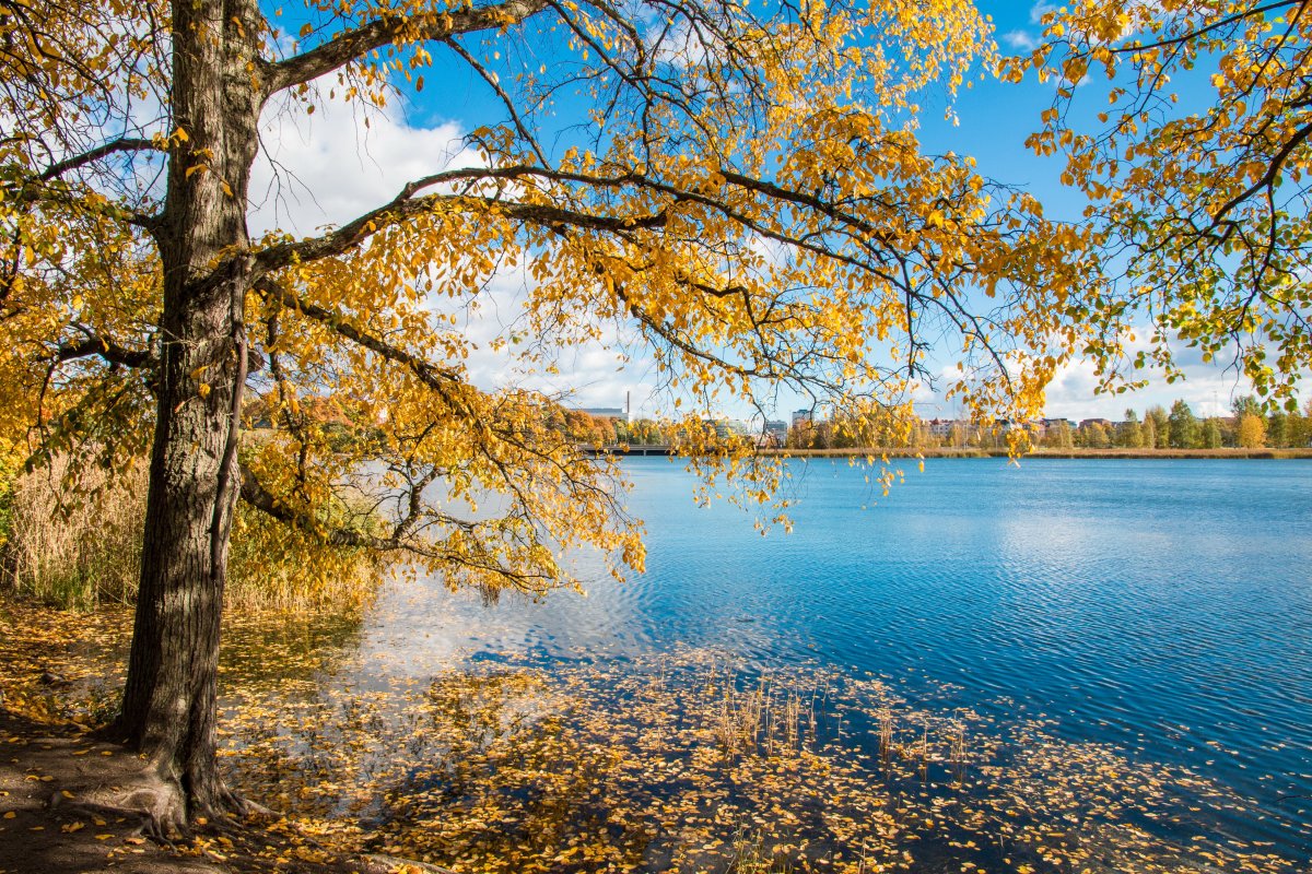 Beautiful pictures of blue lake water in autumn