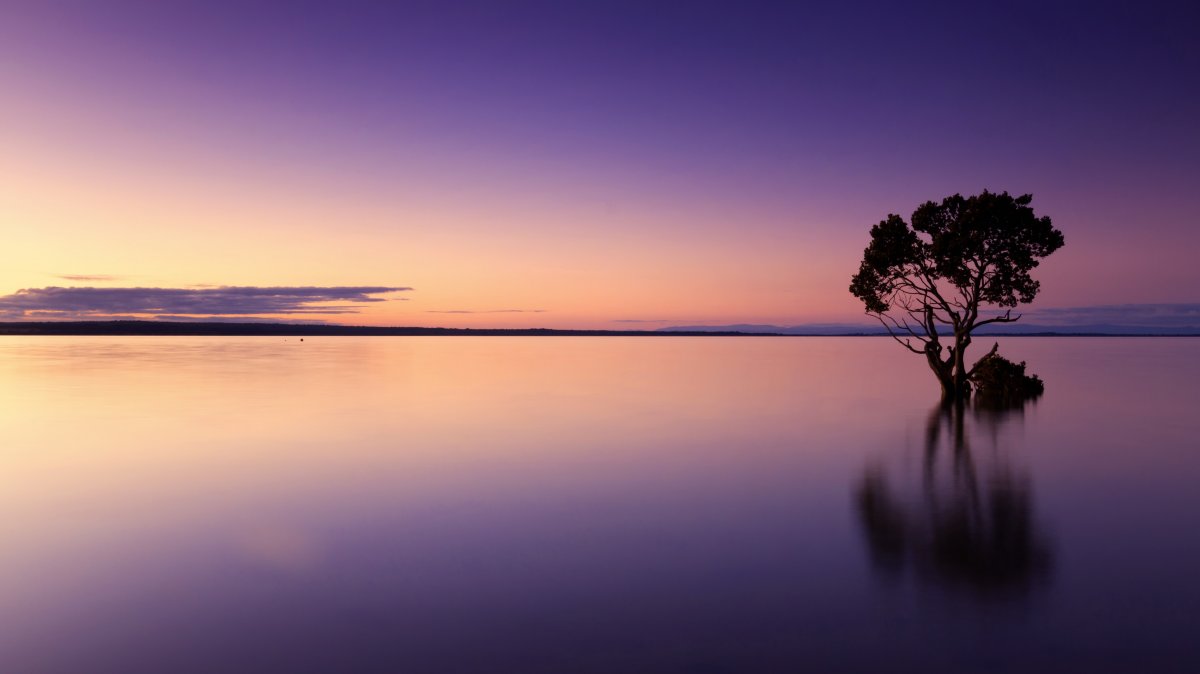 Purple dusk lake picture