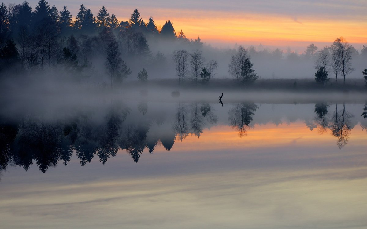 Winter morning lake fog picture