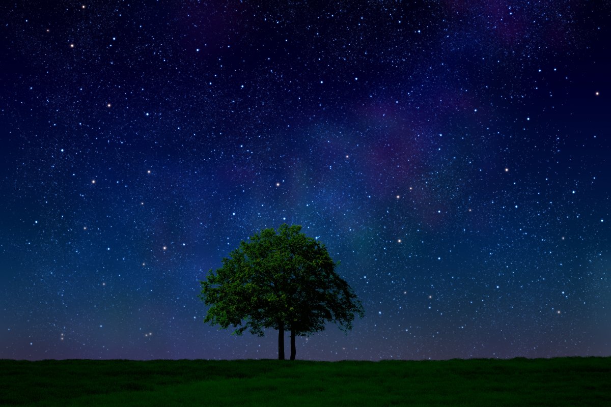 Pictures of stars in the night sky and big trees and grass