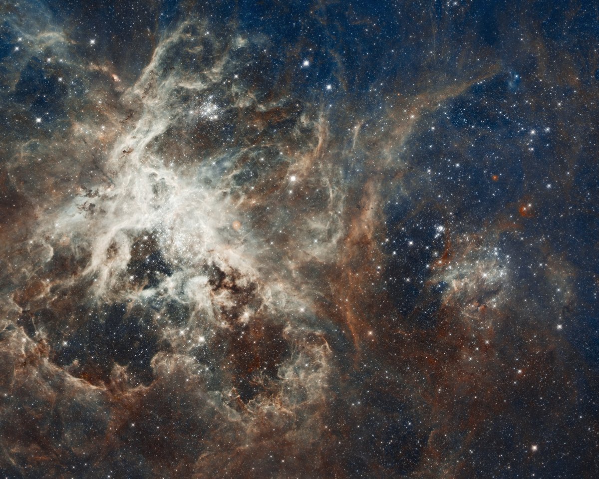 Spider Nebula pictures