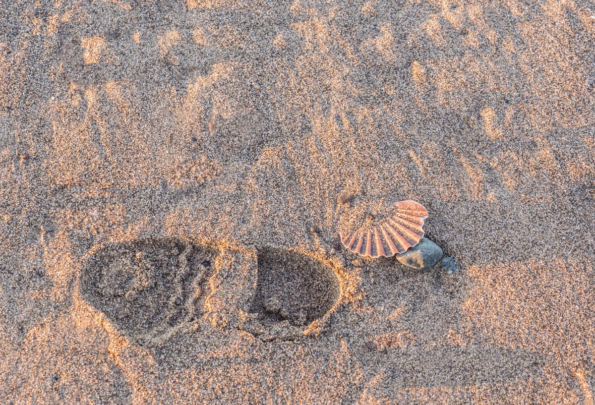 Beach shoe print pictures