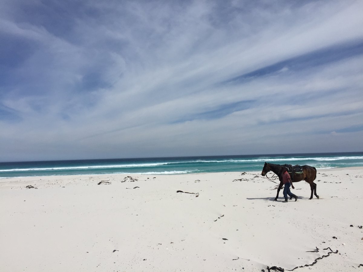 Beautiful pictures of Cape Town beaches in South Africa