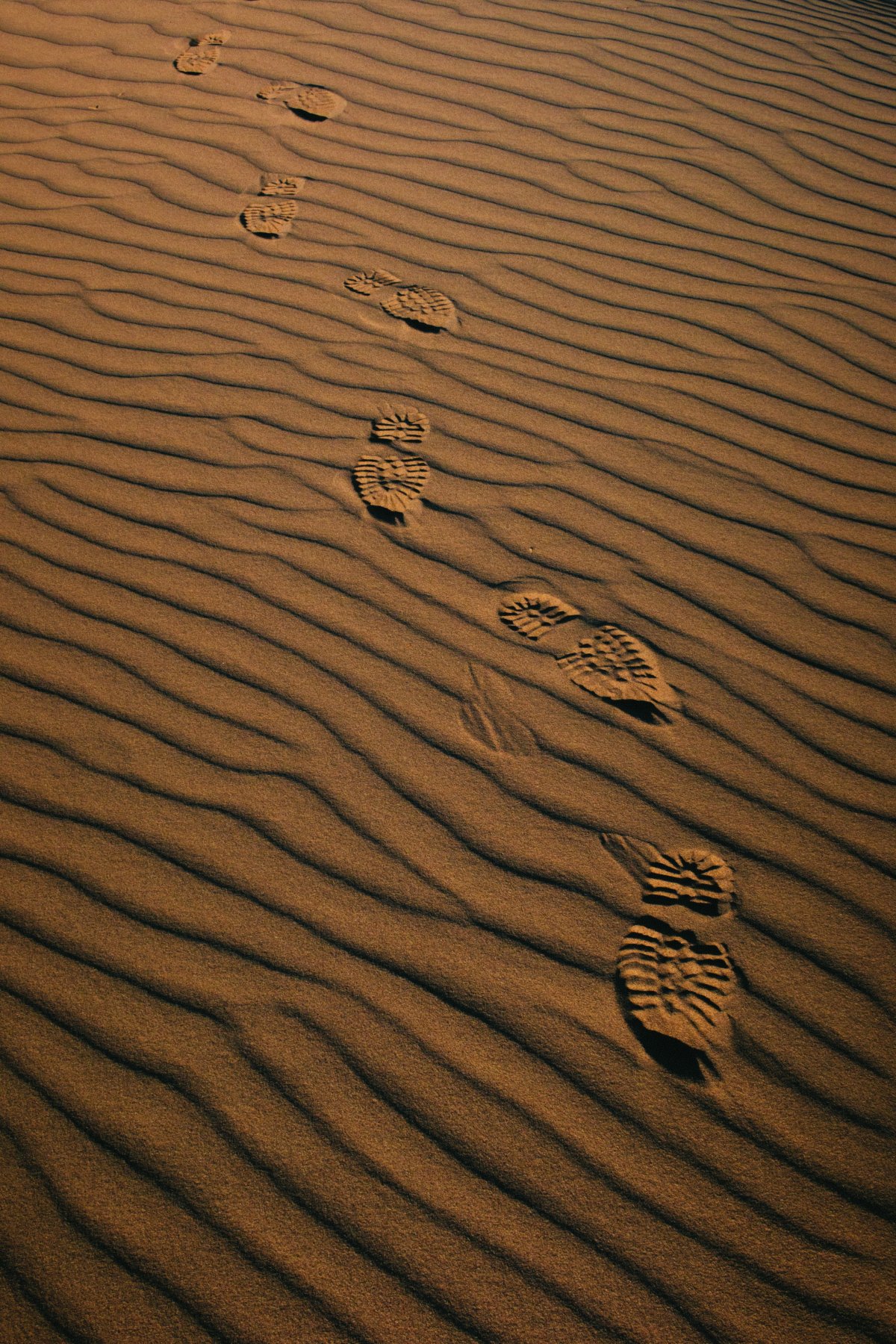Pictures of footprints in the desert