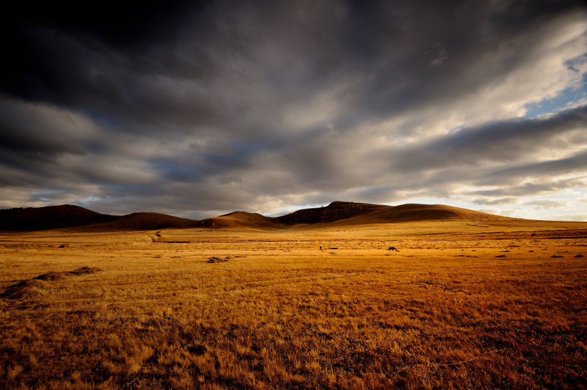 Beautiful autumn scenery pictures of Bashang grassland in Inner Mongolia
