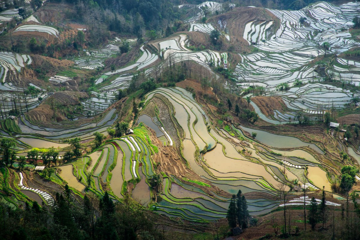 Scenery pictures of terraced fields in Yuanyang, Yunnan