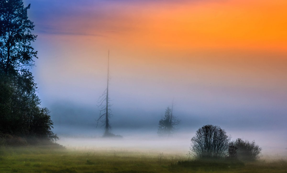 Beautiful morning fog scenery pictures