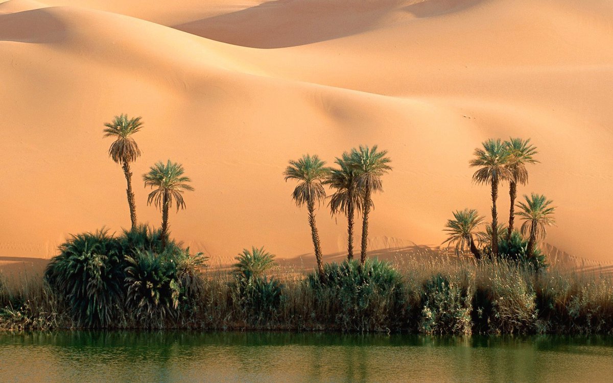 Beautiful pictures of desert oasis