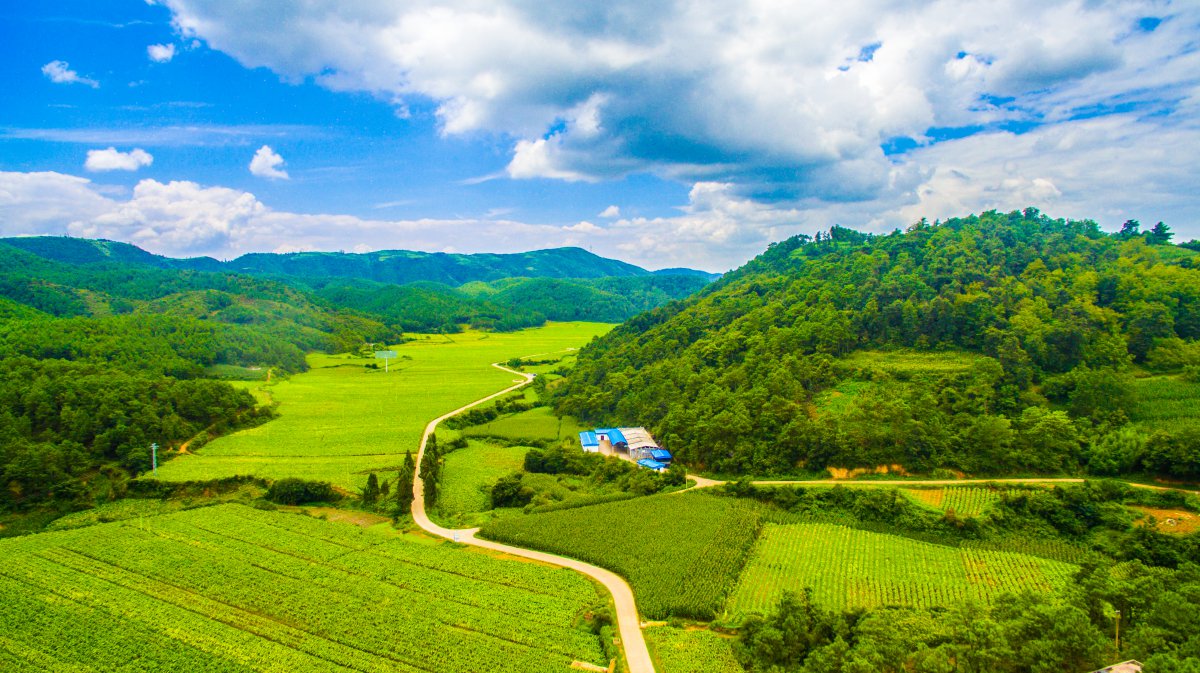 Aerial photography of Maitreya Ecological Valley scenery pictures in Taizhou, Zhejiang