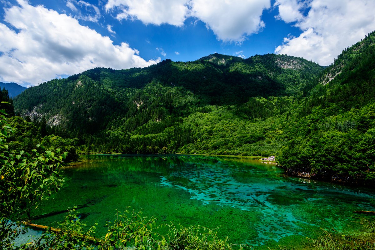 Jiuzhaigou Valley scenery pictures in summer
