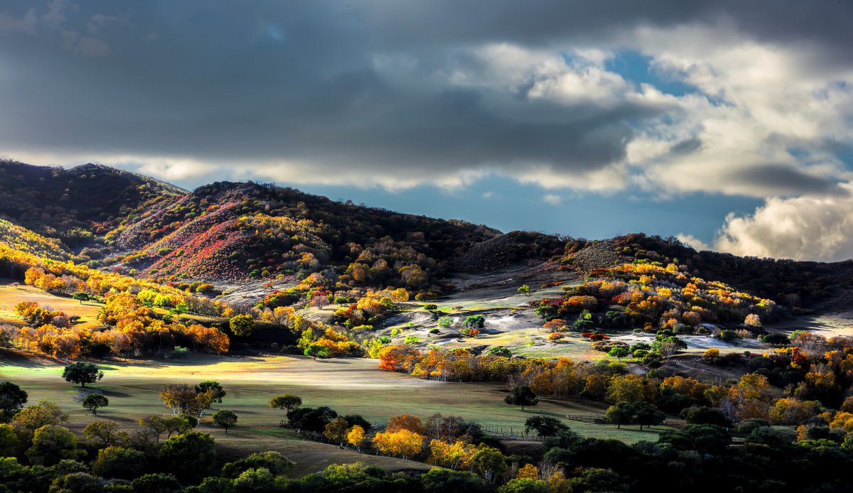 Pictures of autumn scenery in Bashang, Hebei