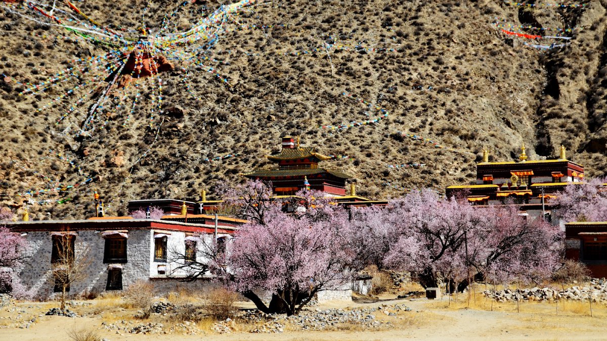 Scenery pictures of Yongzhonglin Temple in Tibet