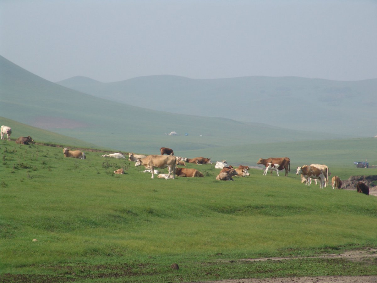 Landscape pictures of Keshiketeng Global Geopark in Inner Mongolia