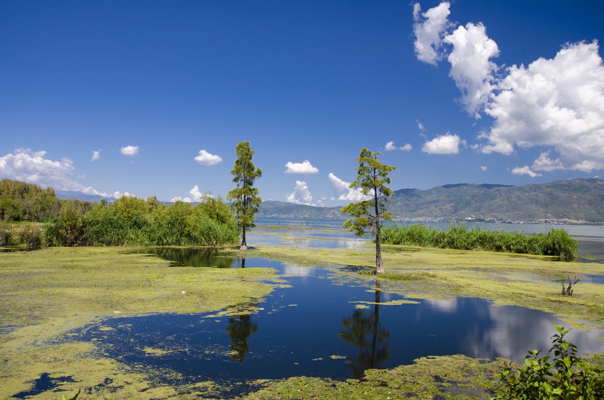 Dali Haitang Ecological Park Landscape Pictures