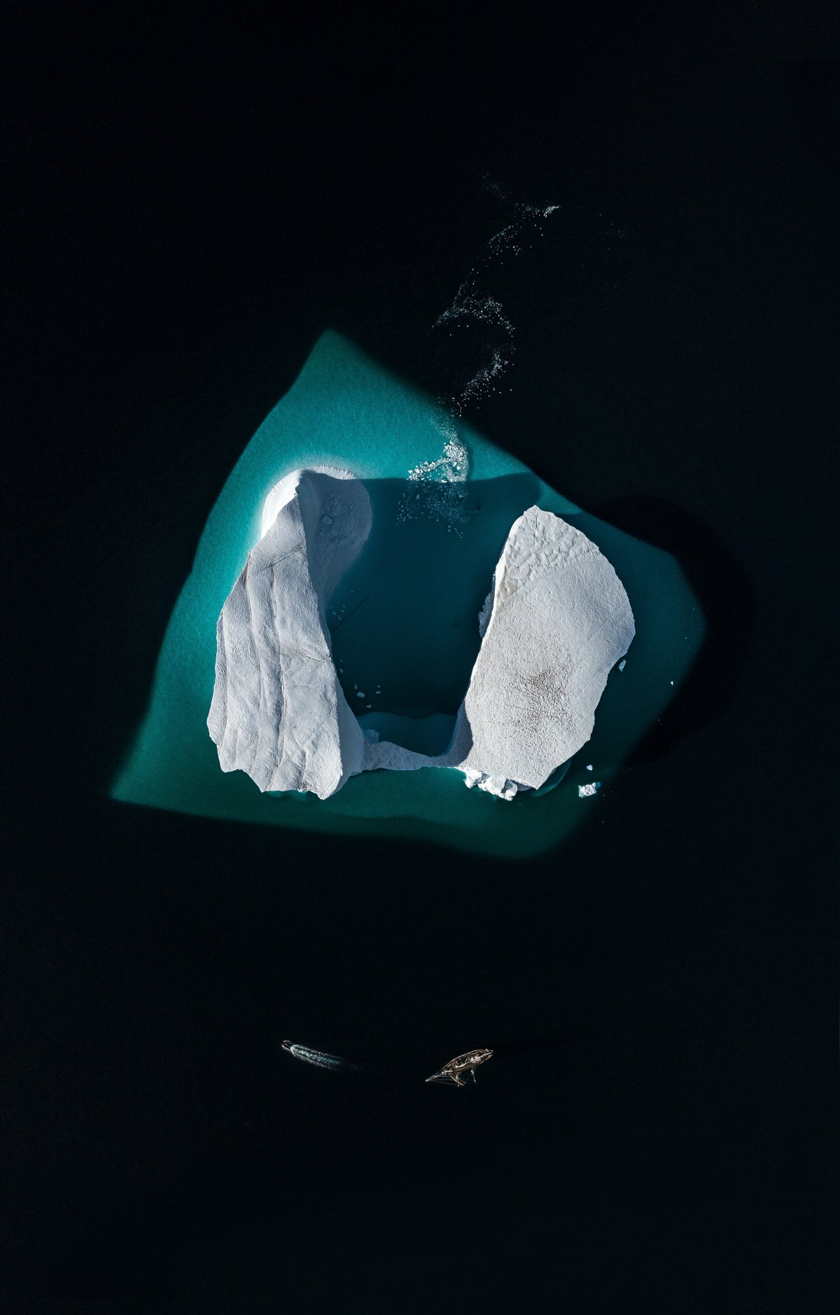 Pictures of icebergs in polar regions