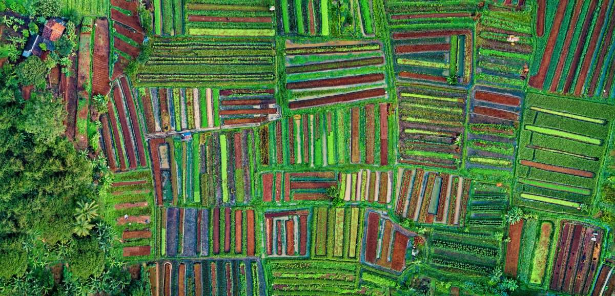 Aerial pictures of farmland