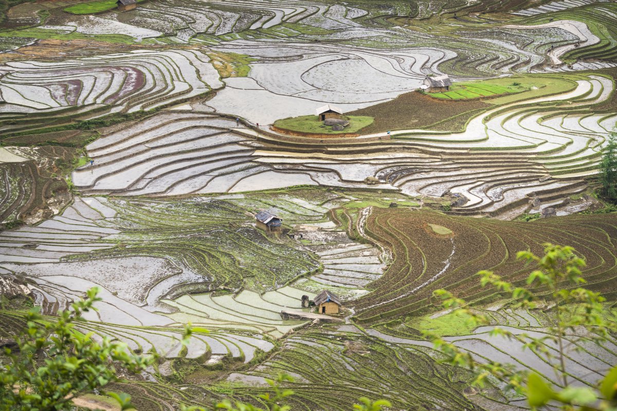 Vietnam rural pastoral scenery pictures