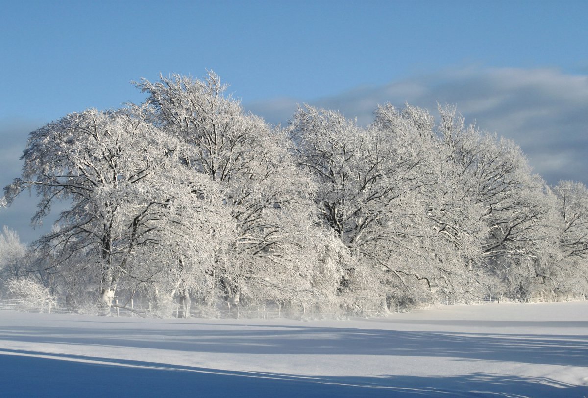 Beautiful snow scenery pictures in winter