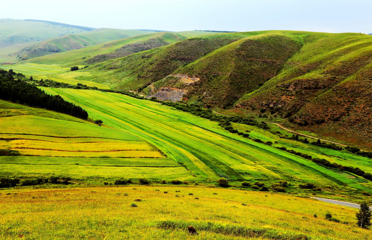 Early autumn scenery pictures of Keshiketeng, Inner Mongolia