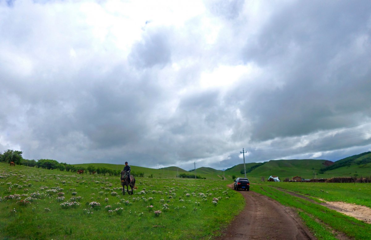 Inner Mongolia Ulanmutong grassland scenery pictures