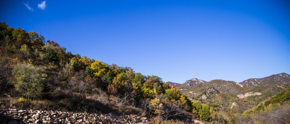 Pictures of golden autumn scenery all over the mountains and plains