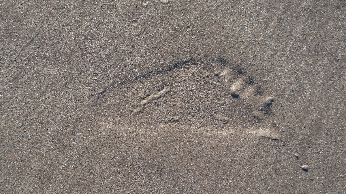 HD pictures of footprints on the beach