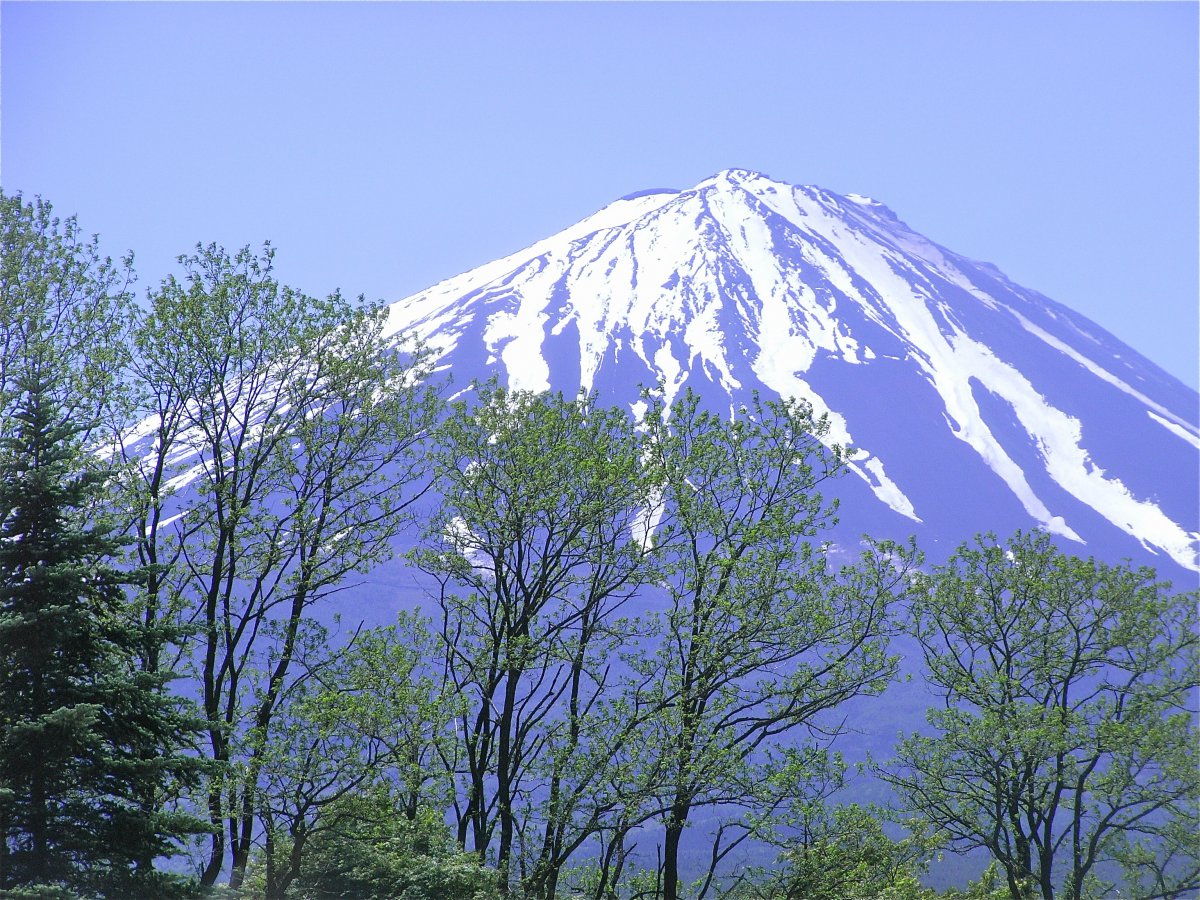 Beautiful Mount Fuji pictures
