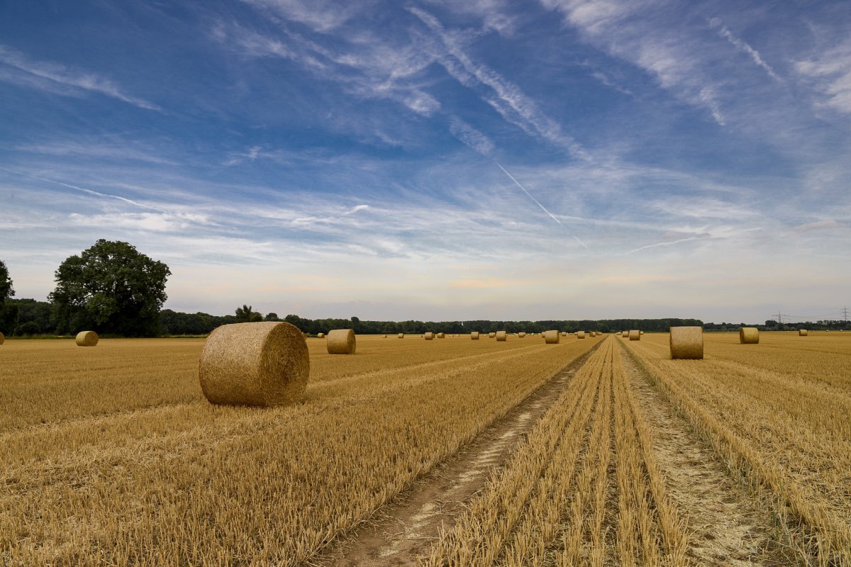 Natural scenery pictures of haystacks in the summer field