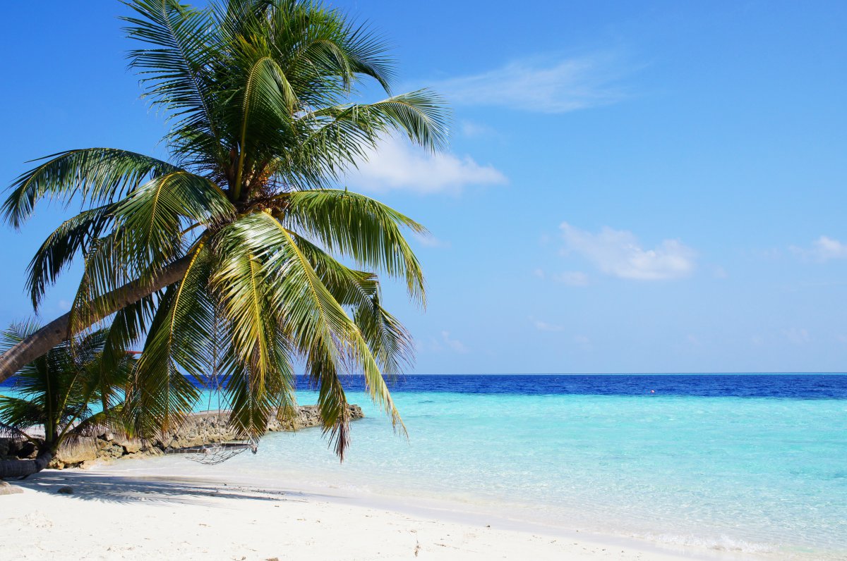 Romantic Maldives coast scenery pictures