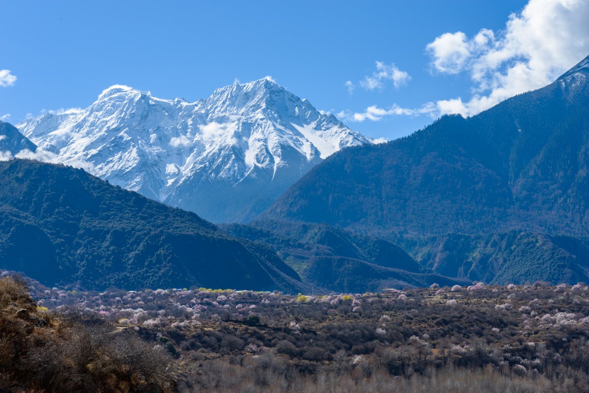 Pictures of the majestic snow-capped mountains in Linzhi, Tibet