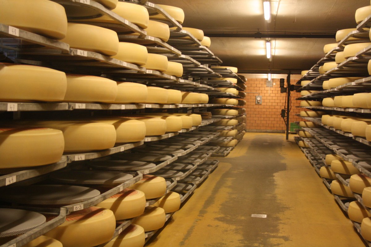 Swiss cheese factory pictures