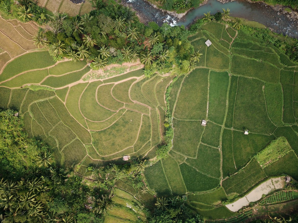 Aerial farmland pictures